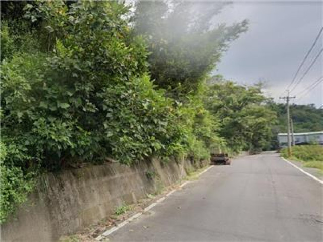 苗栗通霄低總價休閒農地