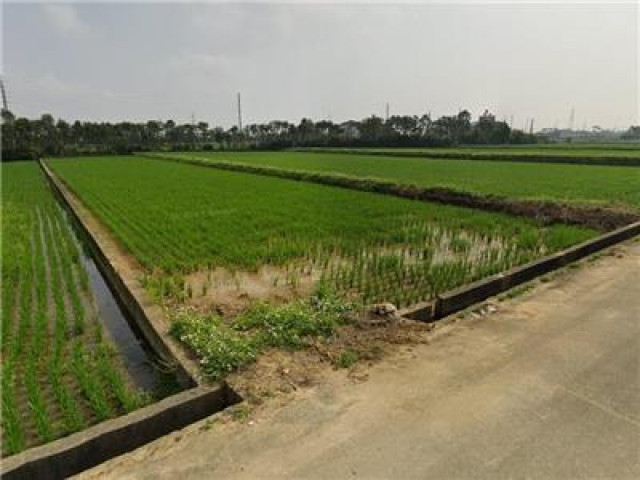 新屋永安國小便宜農地