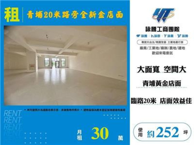 青埔20米路旁全新金店面
