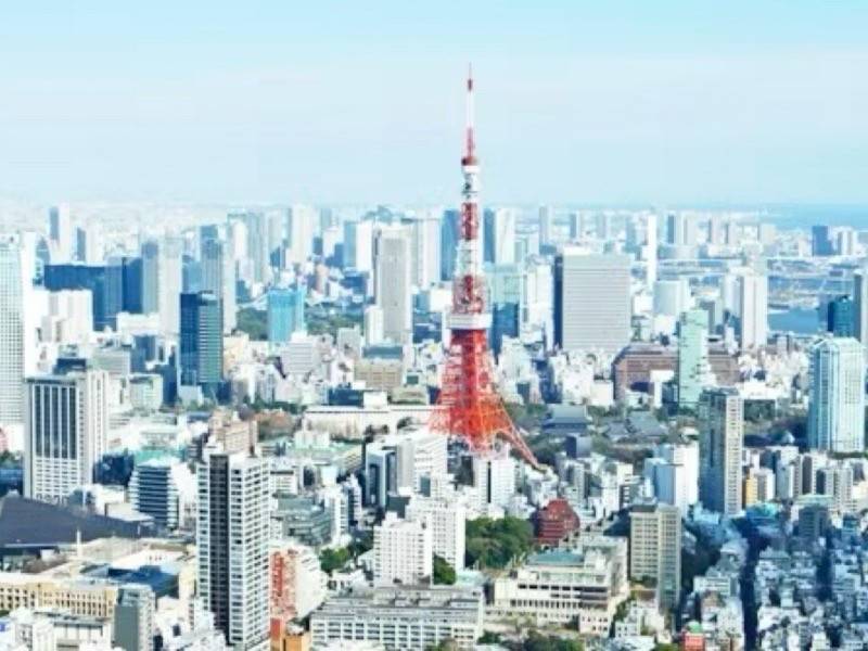 廠房選址必讀:從交通、法規到產線配置的全面分析