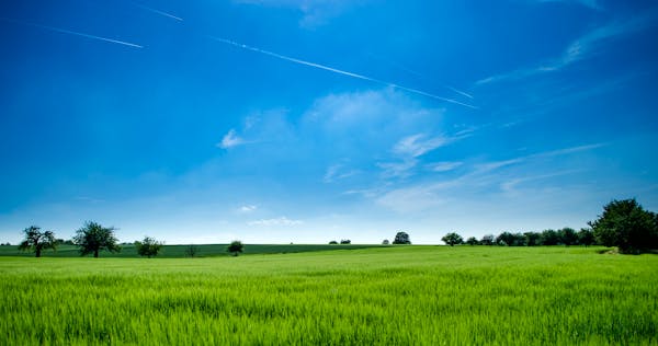  【農地買賣與租賃全攻略】農業用地怎麼選？價格行情、法規限制與投資建議一次搞懂！ 