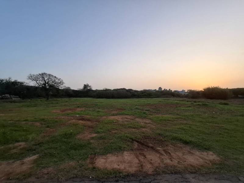 【大園稀有農地釋出】近台15線大面積農地、變更特目交通用地潛力強,投資首選!